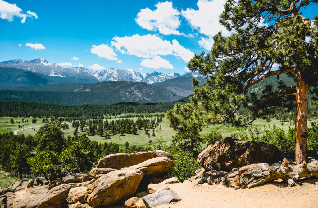 green summer valley in the rocky mountains